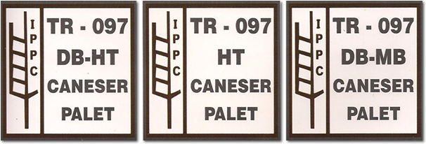 caneser palet
